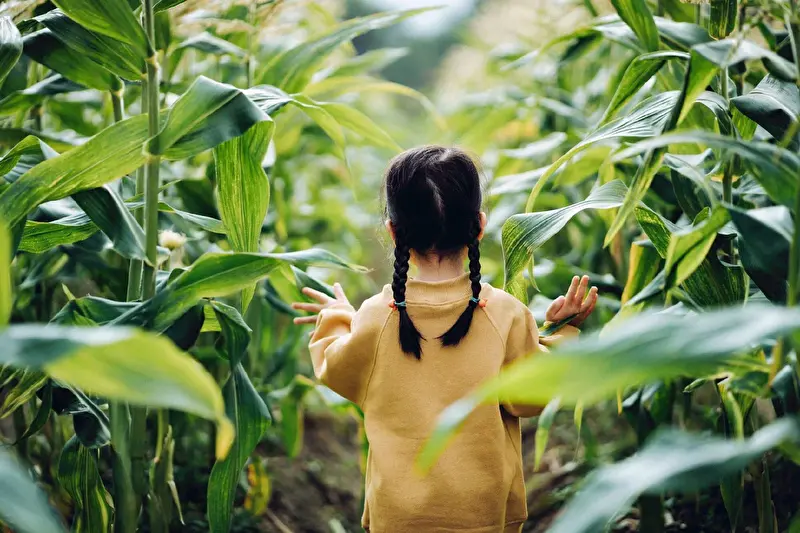Child walking next to plants and touching their leaves