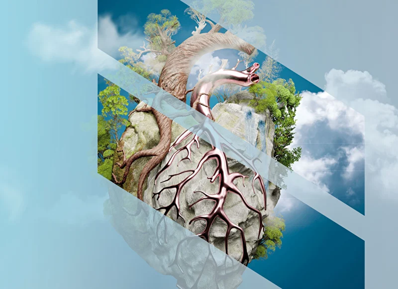 ECR2025