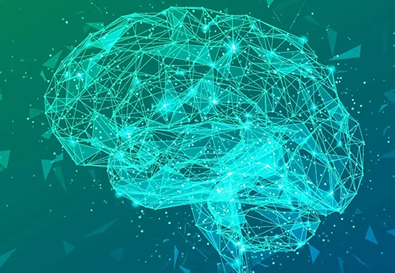 AiMIFY Brain Illustration