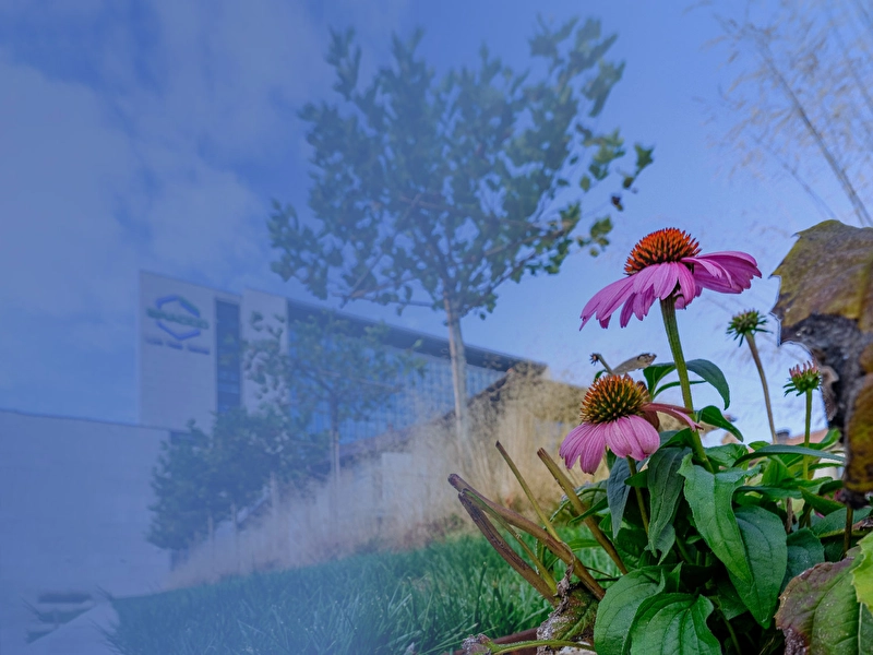 bracco sustainability report