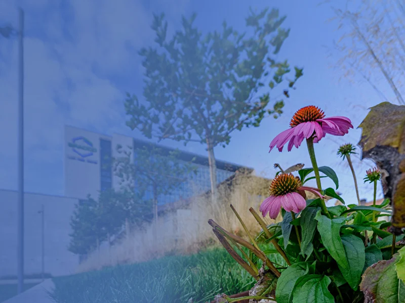 Bracco sustainability report 2024