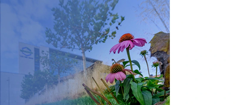 Bracco Imaging sustainability report