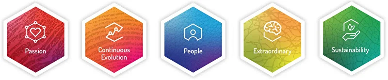 Bracco's values icons