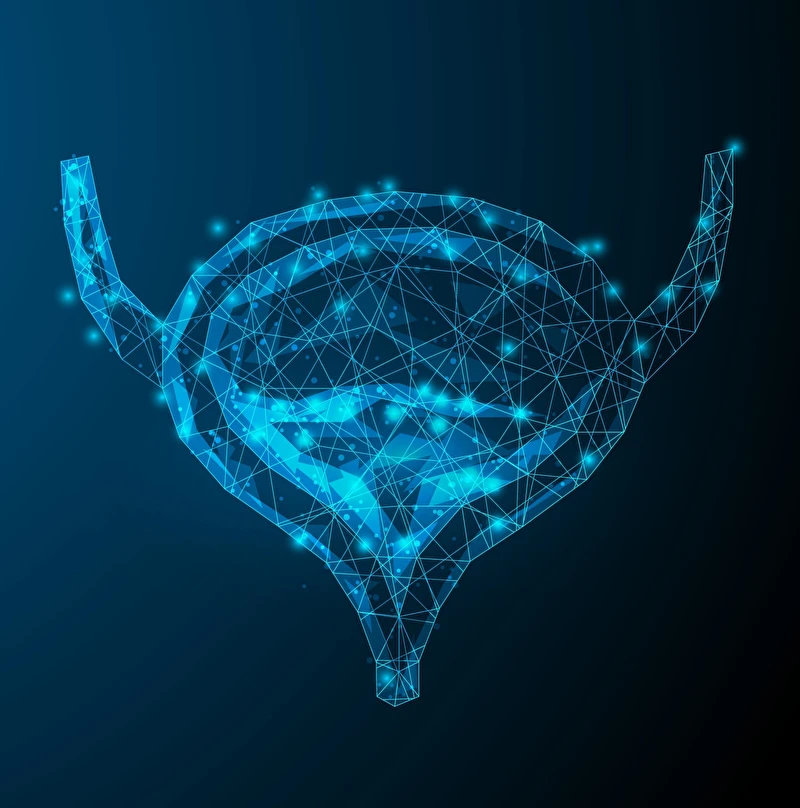 IRM de la prostate webinaire bracco 2026