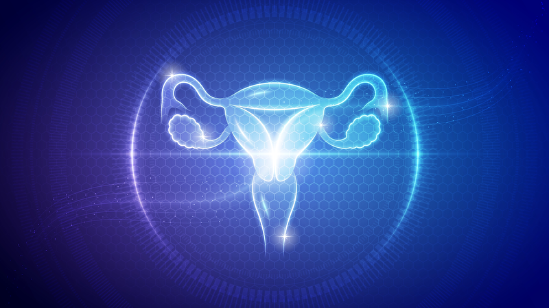 Myome versus masse myométriale indéterminée en IRM webinaire Bracco 2026