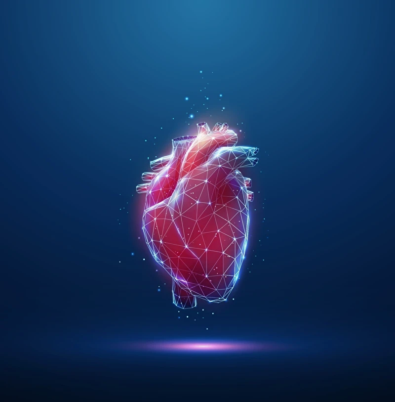 maladies valvulaires cardiaques webinaire 2026