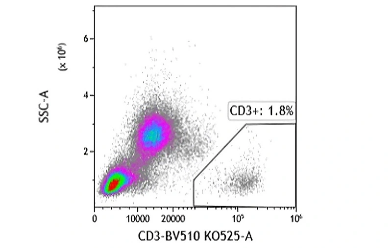 After Separation - Negative Fraction 1.8% CD3+ cells