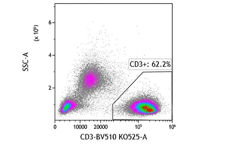 Before Separation 62.2% CD3+ cells