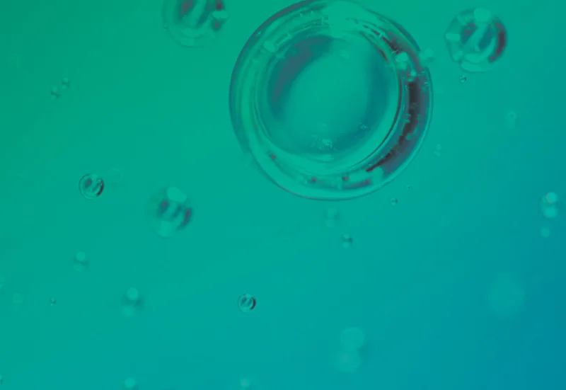 Bubbles