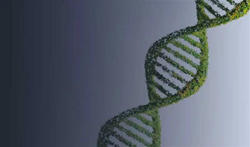 Bracco sustainability report