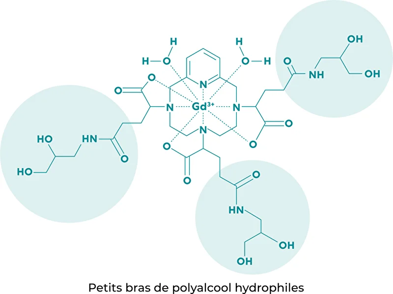 Petits bras de polyalcool hydrophiles