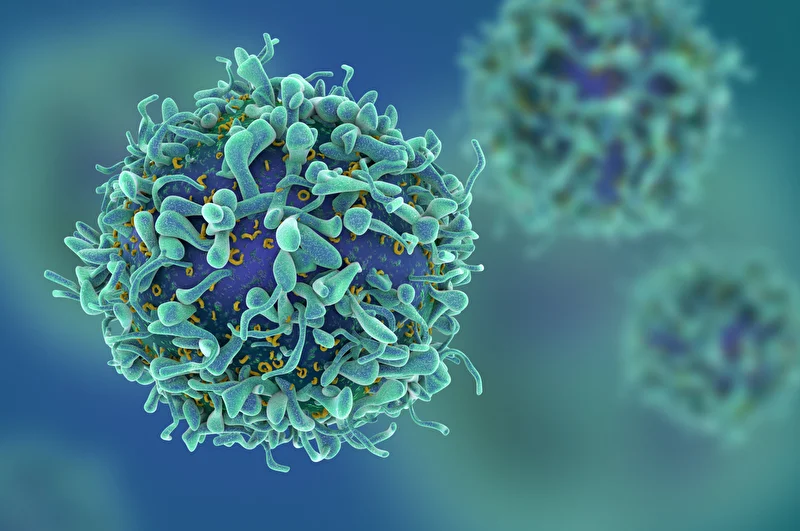 Bracco Expands BubbleGen™ Cell Selection with CD3+ T Cell Isolation Kit