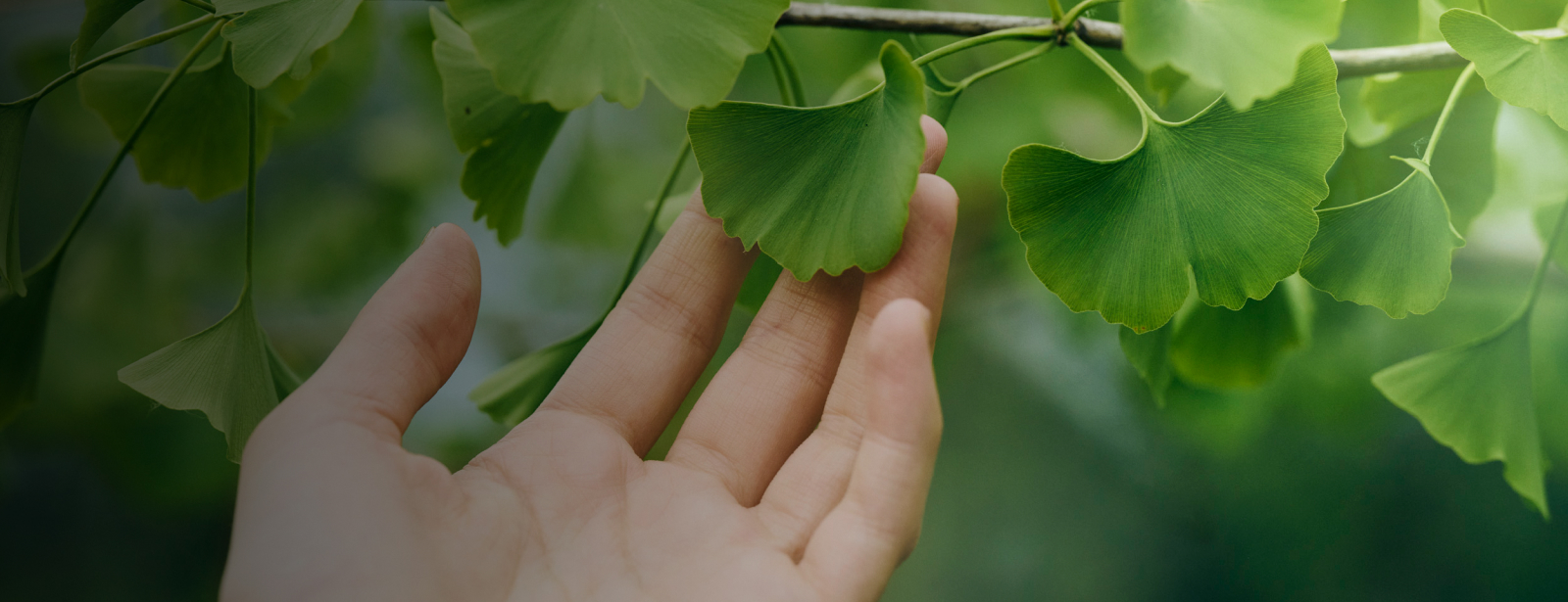 sustainability page