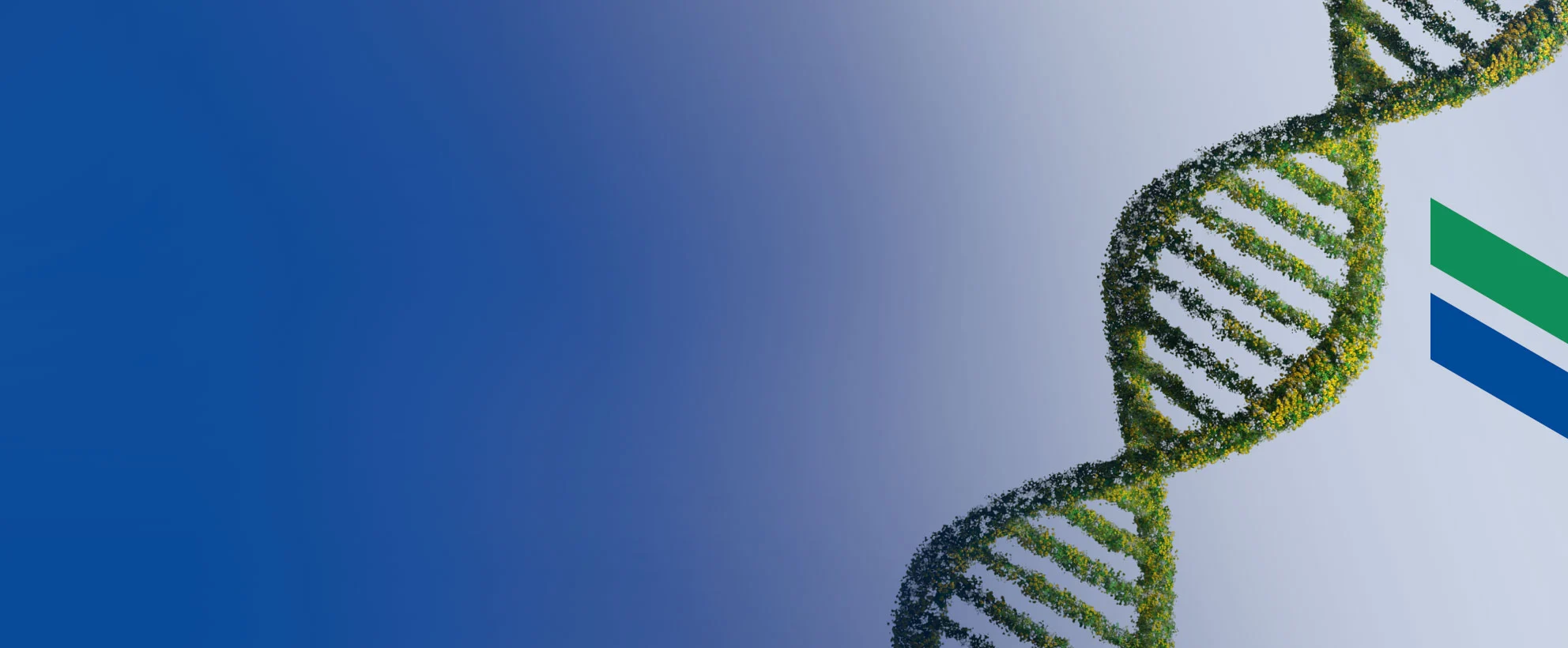 Bracco Sustainability Report 2024