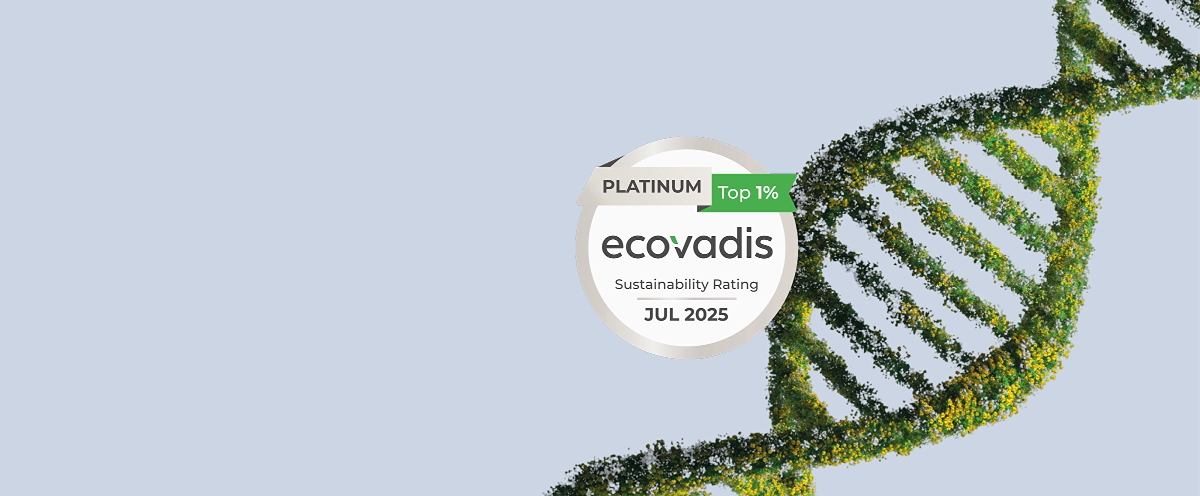 ecovadis 2025