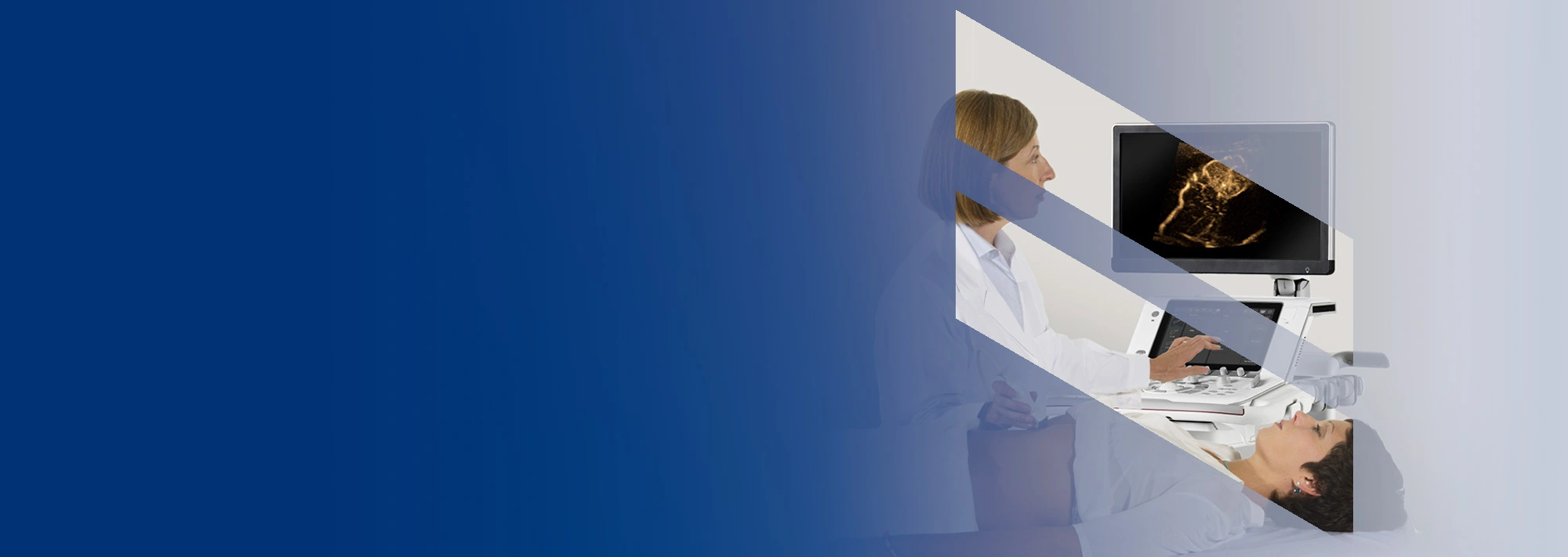 IBISCUS Free Webinar 