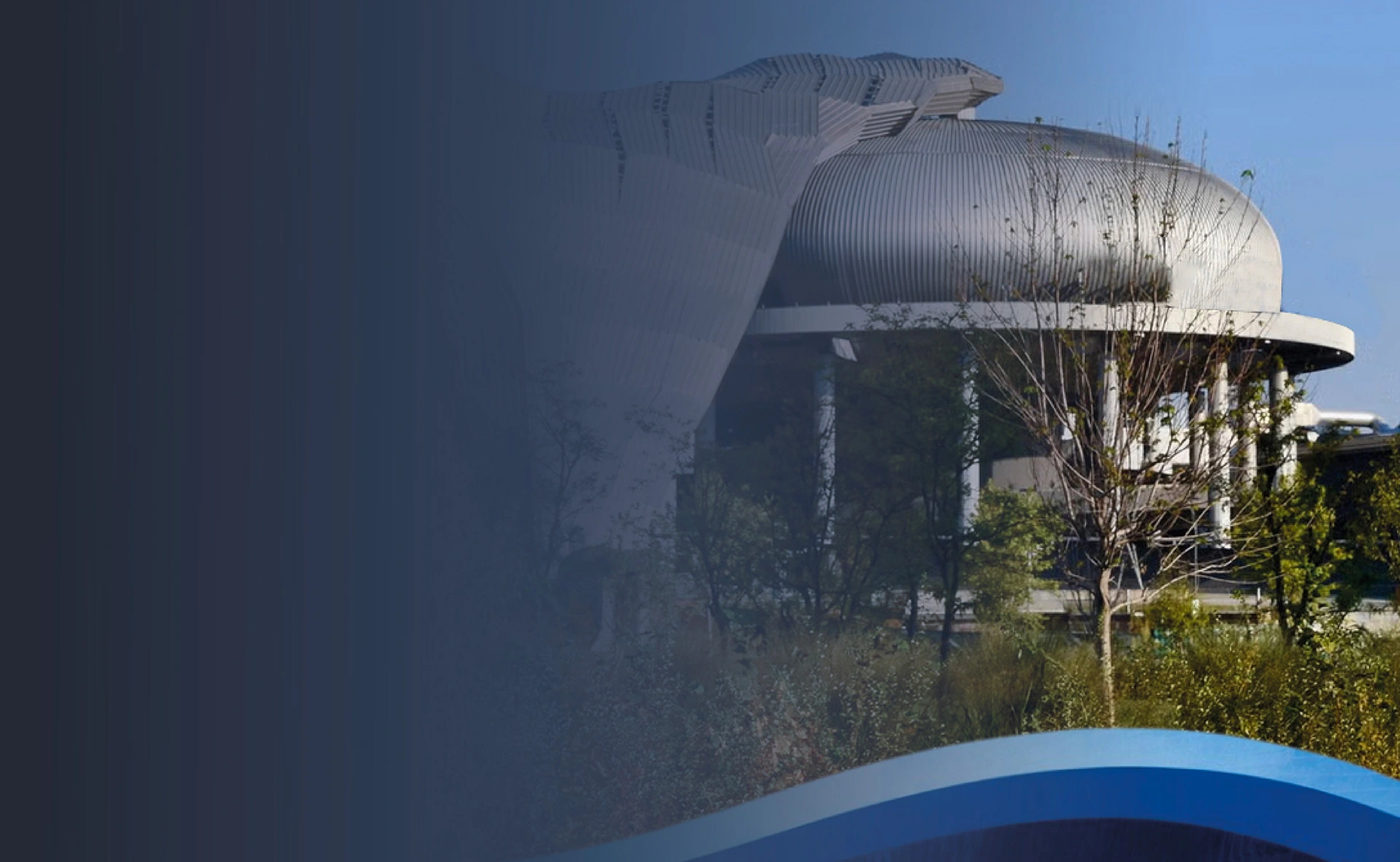 52° congresso internazionale SIRM